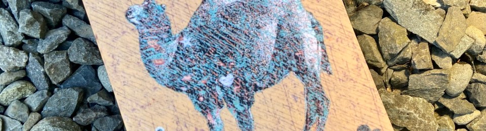 A copy of the author's book placed on a pebble beach